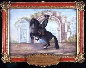 No 42 Agrable a dark fawn horse of the Spanish Riding School performing a dressage movement called a Curvet