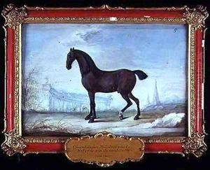 No 5 An English bay horse with a white fetlock on the near side