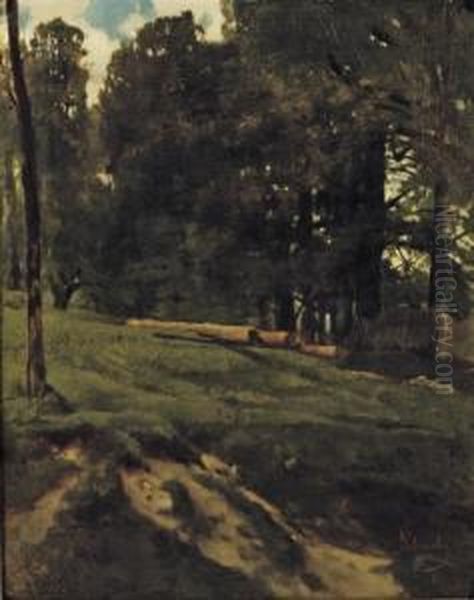 A Wooded Landscape With Cut Down Trees Lying In An Open Field - view 1