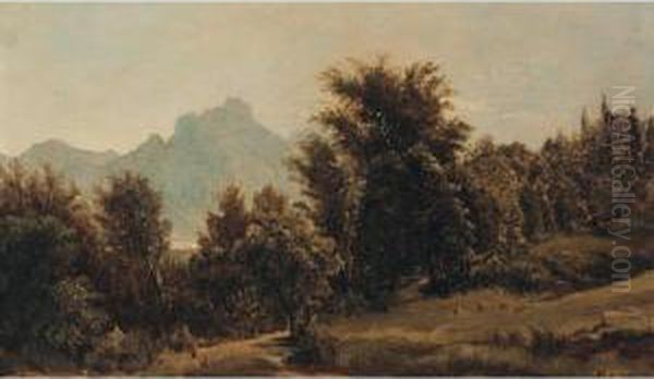 Motiv Aus Dem Salzkammergut (landscape In The Salzkammergut) - view 1