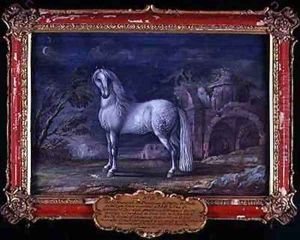 No 3 Superbe a German dappled grey horse from the Spanish Riding School who was famous for his piaffe No 3 Superbe a German dappled grey horse from the Spanish Riding School who was famous for his piaffe