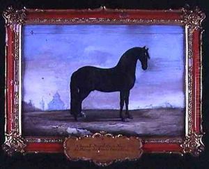 No 4 A black Neapolitan horse of the Spanish Riding School