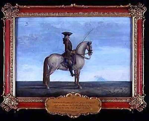 No 9 A grey horse of the Spanish Riding School - view 1