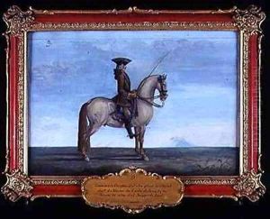 No 9 A grey horse of the Spanish Riding School