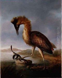 A Bittern and an Eel