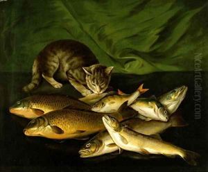 A Cat with Trout Perch and Carp on a Ledge by Stephen Elmer