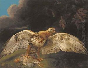 A hawk guarding his prey by Stephen Elmer