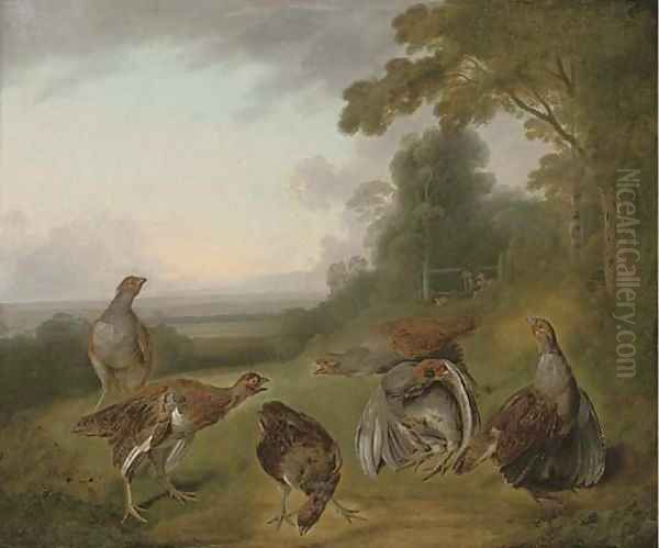 Grey partridge in a extensive landscape, with hunters beyond - view 1