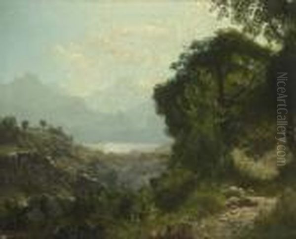Waldlandschaft. - view 1