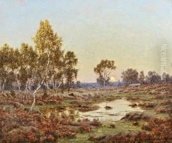 Automne Dans La Foret De Fontainebleau by Adrien Schulz
