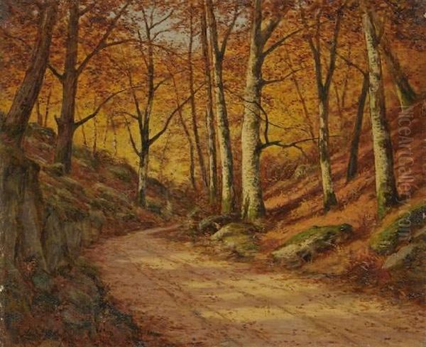 Sentier En Foret De Fontainebleau - view 1