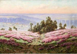 Les Bruyeres, Vallee De La Creuse