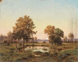 Soleil Couchant Sur La Mare
