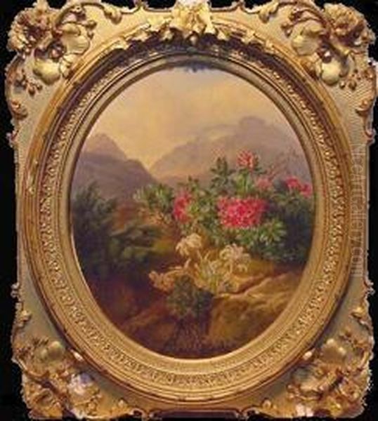 Alpenblumen - view 1