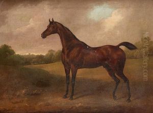 A Bay Racehorse In A Landscape