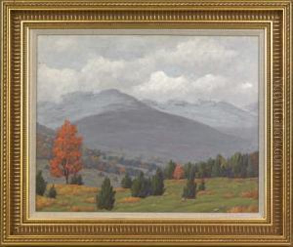Landscape - view 1