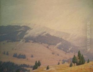 Clearing, Morning - Blue Ridge Mountains, Virginia by Andrew Thomas Schwartz