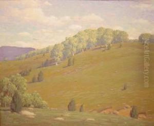 Rolling Hills by Andrew Thomas Schwartz