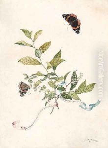 Leonia ligustrina (Lily of the Valley Bush), with two Red Admiral butterflies by Georg Dionysius Ehret