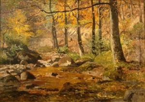 View On The Fall-coloured Forest With Brook