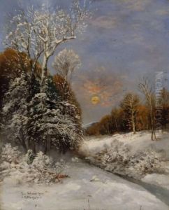 Norwegische Winterlandschaft Mit