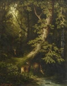 Rotwild Am Waldteich. by Carl I Schweninger