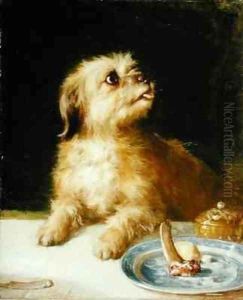 Norfolk Terrier by Thomas Earl