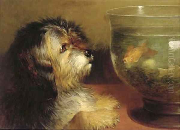 The pet goldfish - view 1