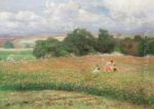 A Blooming Meadow In Summer - view 1