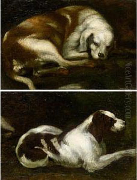 Studies Of Resting Hounds - view 1