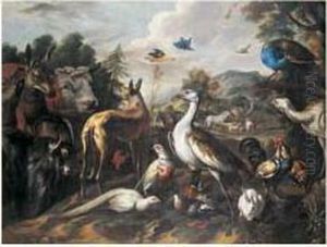 Les Animaux Entrant Dans L'arche