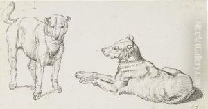 Deux Etudes De Chiens, L'un Couche