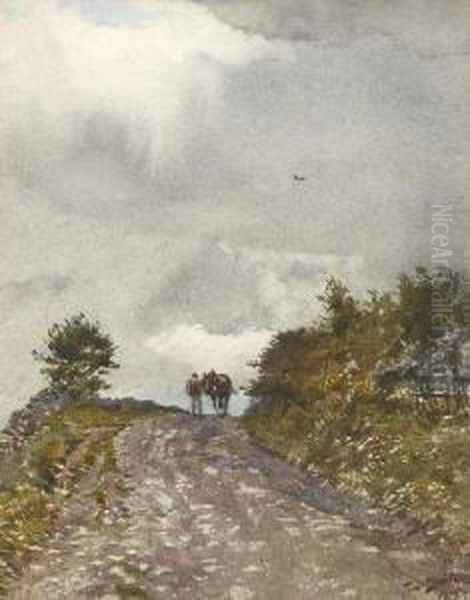 Homeward Bound - view 1