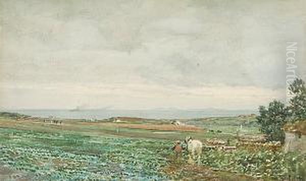 Return From The Fields, Caithness - view 1