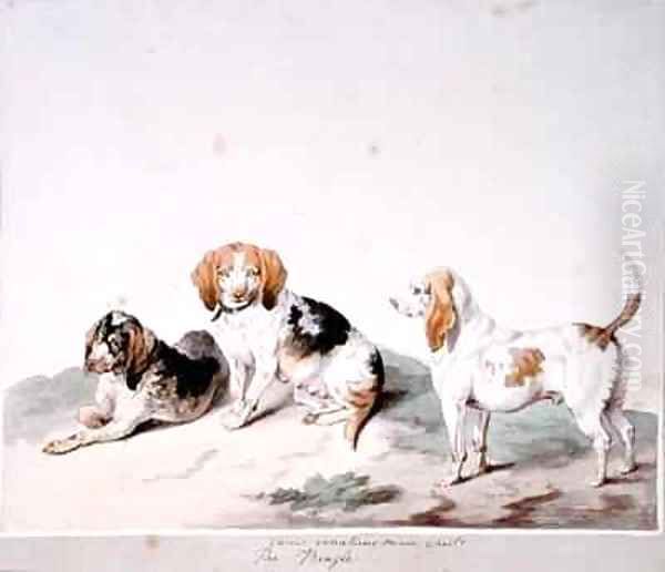 The Beagle - view 1
