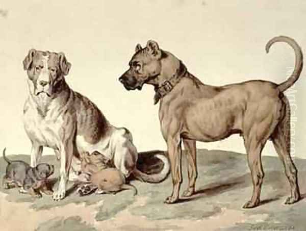 The Mastiff - view 1