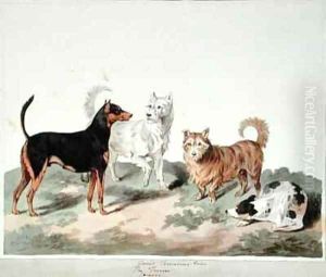 The Terrier by Sydenham Teast Edwards