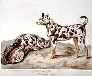 The Harlequin Dane by Sydenham Teast Edwards