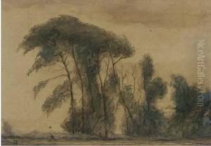 Trees In A Storm by Elliott Seabrooke