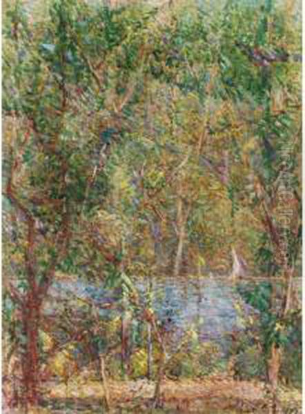 Forest By The Coast - view 1