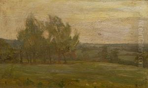 Rural Landscape - view 1