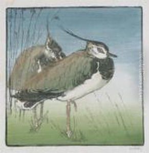 Peewit by Allen William Seaby