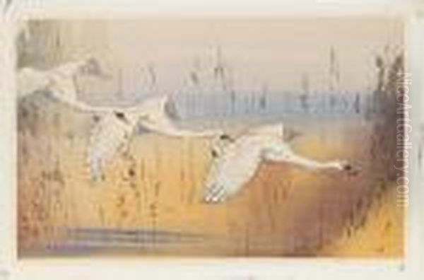 Swans In Flight - view 1