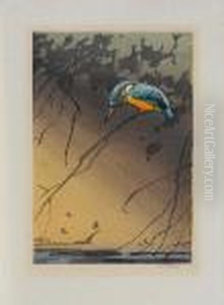 Kingfisher - view 1