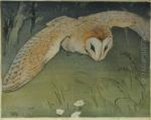 Barnowl In Flight - view 1