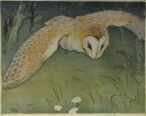 Barnowl In Flight Barnowl In Flight