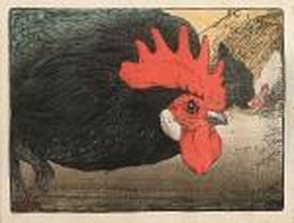 Cockerel - view 1