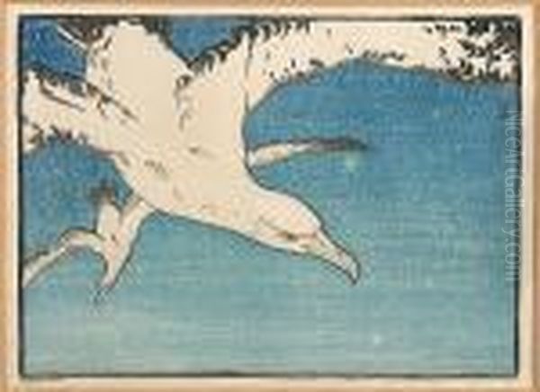 Gulls - view 1