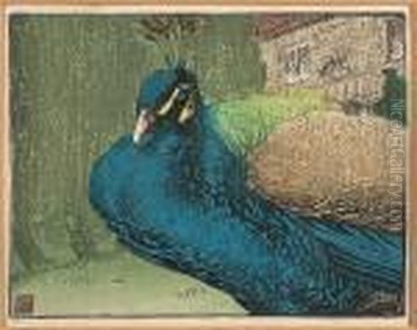 Peacock - view 1
