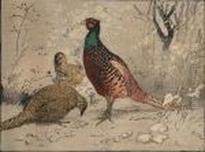 Pheasants by Allen William Seaby